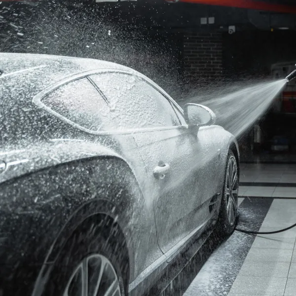 Immagine del catalogo del sito